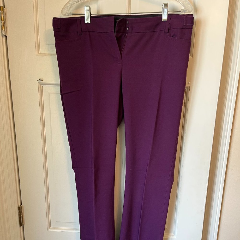 Express Columnist Pant - 8L - Purple